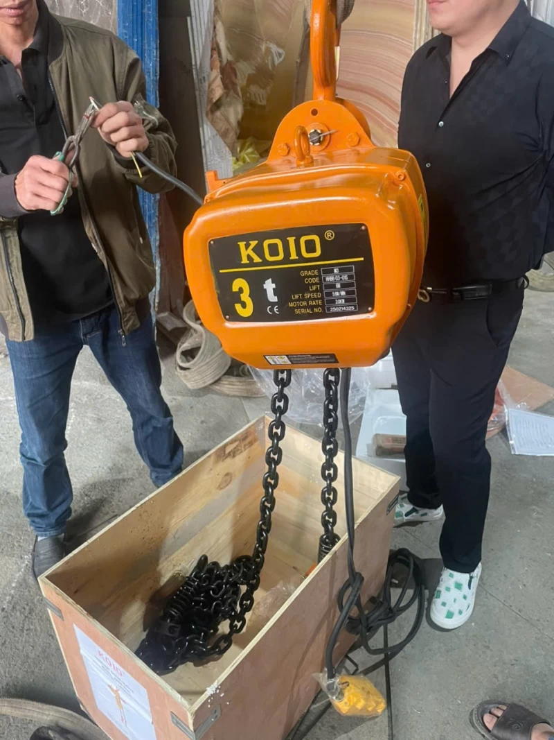 Pa lăng xích điện KOIO 3Tx6m 380V cố định - Thumbnail 2