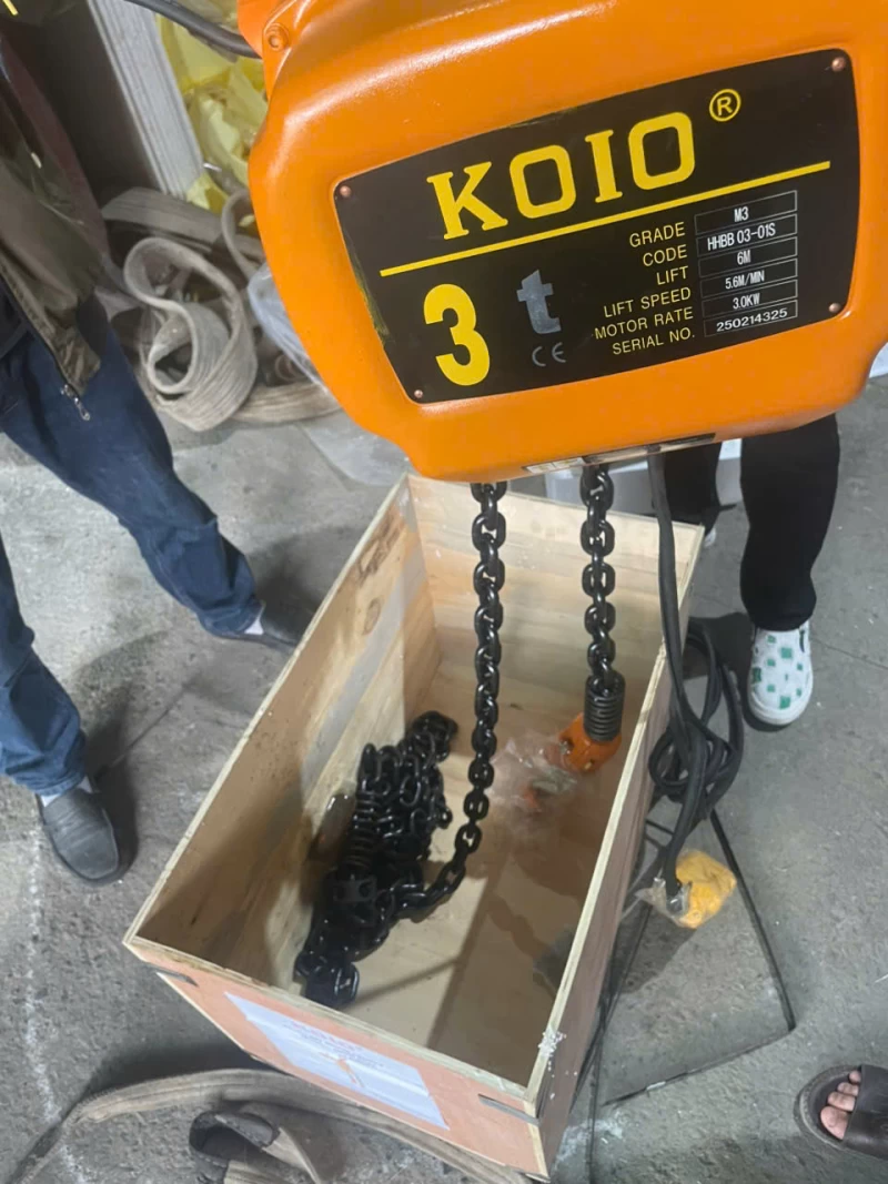 Pa lăng xích điện KOIO 3Tx6m 380V cố định - Ảnh 1