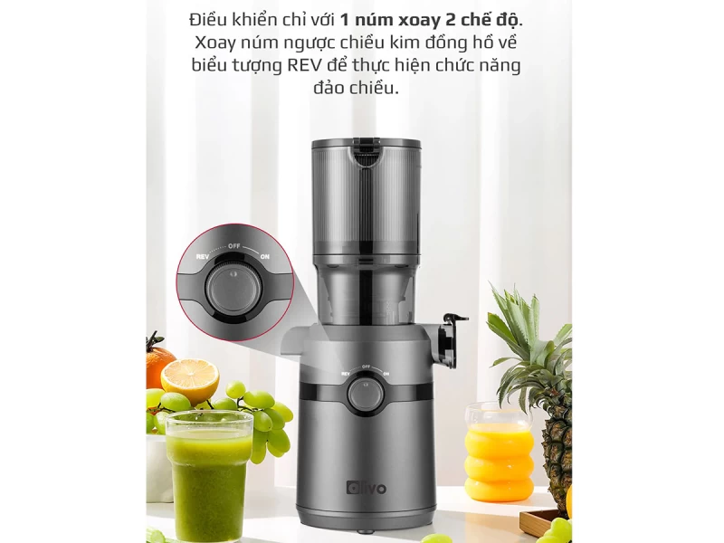 Máy ép chậm Olivo SJ240 - Ảnh 13